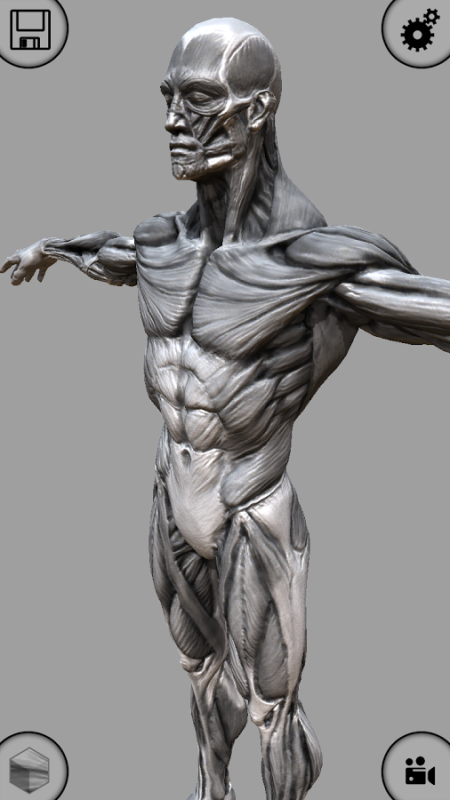 virtual mannequin for drawing